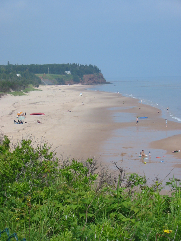 Sandy's Beach 
low tide; looking east